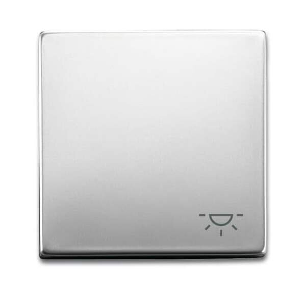 BUSCH-JAEGER Wippe 2520 LI-866 Symbol Licht Edelstahl