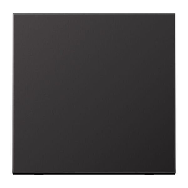 JUNG Wippe AL2990D Aluminium lackiert Serie LS dark (lackiertes Aluminium)