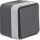 BERKER AP-Taster 50453525 Schliesser W.1 grau