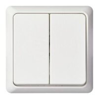ELSO Doppeltaster 506254 42V/1A AP RENOVIERUNG...
