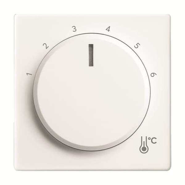 BUSCH-JAEGER Zentralscheibe 1794 R-884 Temperatur rund