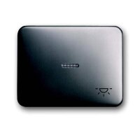 BUSCH-JAEGER Wippe 1789 LI-20 platin