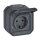LEGRAND Steckdose SCHUKO 069799L Plexo New