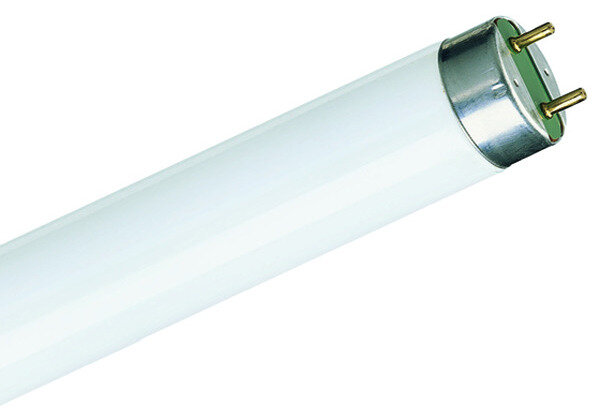 PHILIPS Leuchtstofflampe Master TL-D Super 80 1m 36W 840 1SL/25