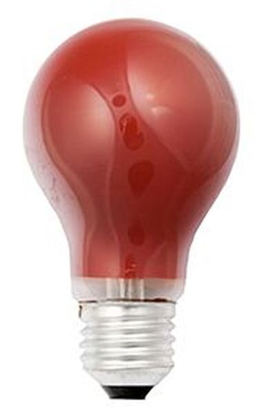 Scharnberger &amp; Hasenbein Gl&uuml;hlampe B 60x105mm E27 230V 25W rot