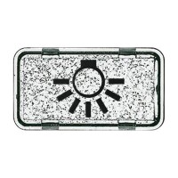 BUSCH-JAEGER Symbol 2622 LI-101 Licht glasklar