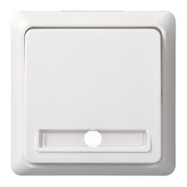 ELSO Taster 502134 10A komplett RENOVIERUNG rw