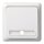 ELSO Taster 502134 10A komplett RENOVIERUNG rw