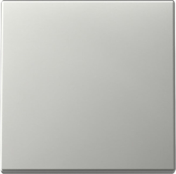 GIRA Wippe 3296600 System 55 Edelstahl
