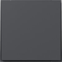 GIRA Wippe 349667 gerade TX44 anthrazit