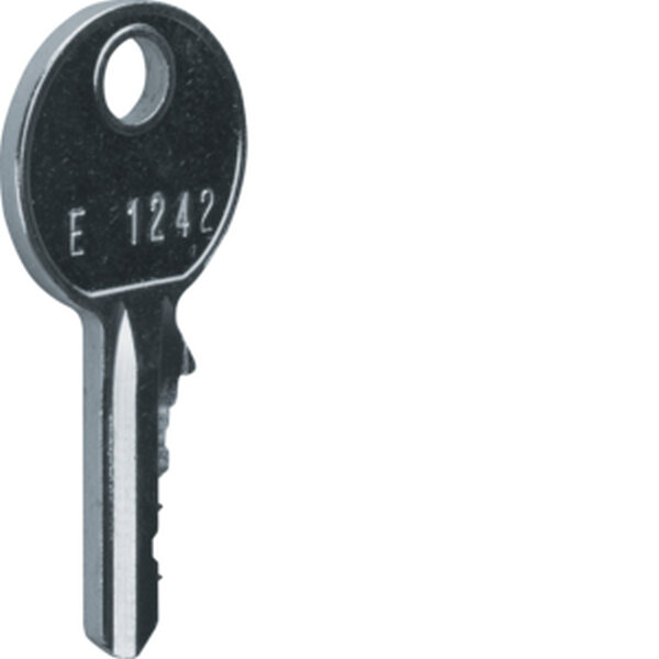 HAGER Ersatzschl&uuml;ssel FZ596 f&uuml;r FZ597