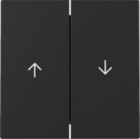 GIRA Wippe 3294005 2f Pfeil System 55 Schwarz matt (neue...
