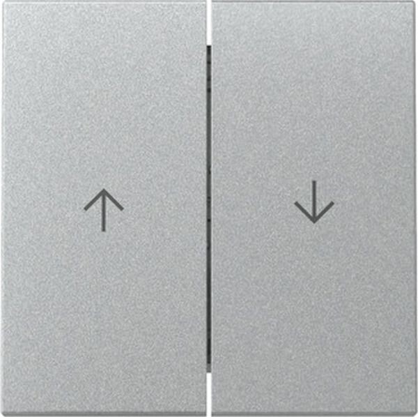 GIRA Wippe 329426 2f Pfeil System 55 F Alu
