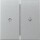 GIRA Wippe 329426 2f Pfeil System 55 F Alu