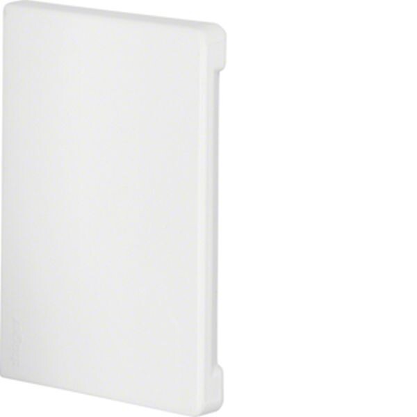 HAGER TEHALIT Endst&uuml;ck BR6510069016 68x100mm hfr verkehrswei&szlig;