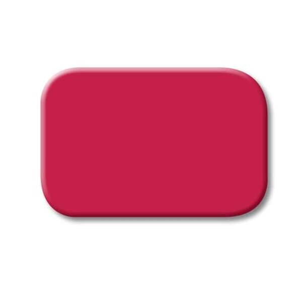 BUSCH-JAEGER Symbol 2525-12 rot rot RAL 3003