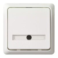 ELSO Taster 506124 42V/1A Unterputz RENOVIERUNG rw
