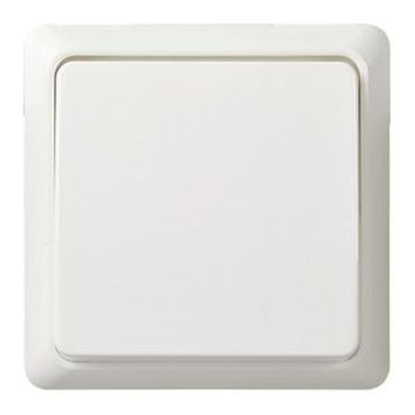 ELSO Taster 502104 10A komplett RENOVIERUNG rw