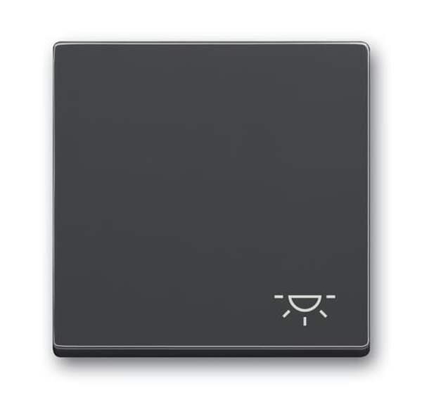 BUSCH-JAEGER Wippe 2520 LI-81 Symbol Licht anthrazit