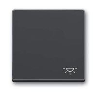 BUSCH-JAEGER Wippe 2520 LI-81 Symbol Licht anthrazit