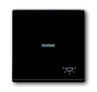 BUSCH-JAEGER Wippe 1789 LI-81 Symbol Licht anthrazit
