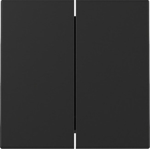 GIRA Wippe 3295005 2f System 55 Schwarz matt (neue Generation)