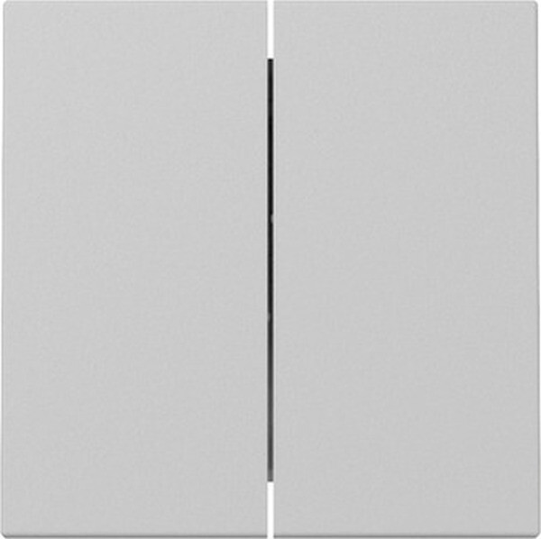 GIRA Wippe 3295015 2f System 55 Grau matt