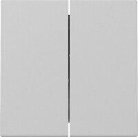GIRA Wippe 3295015 2f System 55 Grau matt