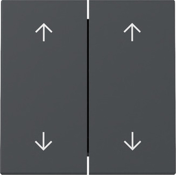 GIRA Wippe 329728 2f Pfeile System 55 Anthrazit