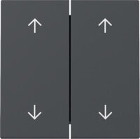 GIRA Wippe 329728 2f Pfeile System 55 Anthrazit