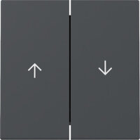 GIRA Wippe 329428 2f Jalousie Pfeil System 55 Anthrazit...