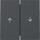 GIRA Wippe 329428 2f Jalousie Pfeil System 55 Anthrazit (neue Generation)