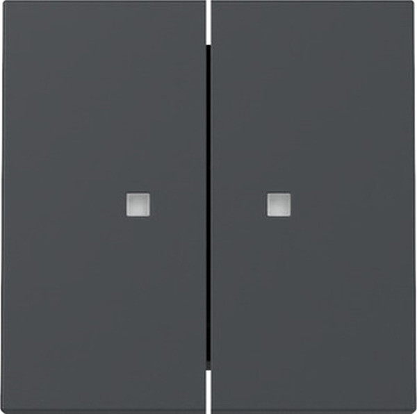 GIRA Wippe 363128 2f Kontrollfenster System 55 Anthrazit