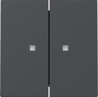GIRA Wippe 363128 2f Kontrollfenster System 55 Anthrazit