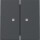 GIRA Wippe 363128 2f Kontrollfenster System 55 Anthrazit
