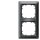SIEMENS Rahmen 5TG2552-6 2fach carbon metallic