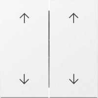 GIRA Wippe 329703 2f Pfeile System 55 Reinweiß...