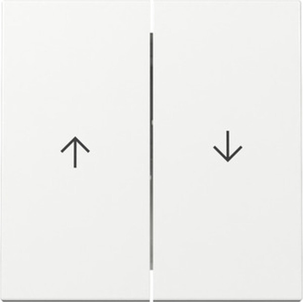 GIRA Wippe 329403 2f Pfeil System 55 Reinwei&szlig; gl&auml;nzend (neue Generation)