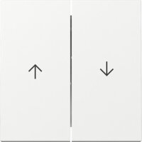 GIRA Wippe 329403 2f Pfeil System 55 Reinweiß...