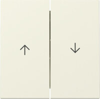 GIRA Wippe 329401 2f Pfeil System 55 Cremeweiß...