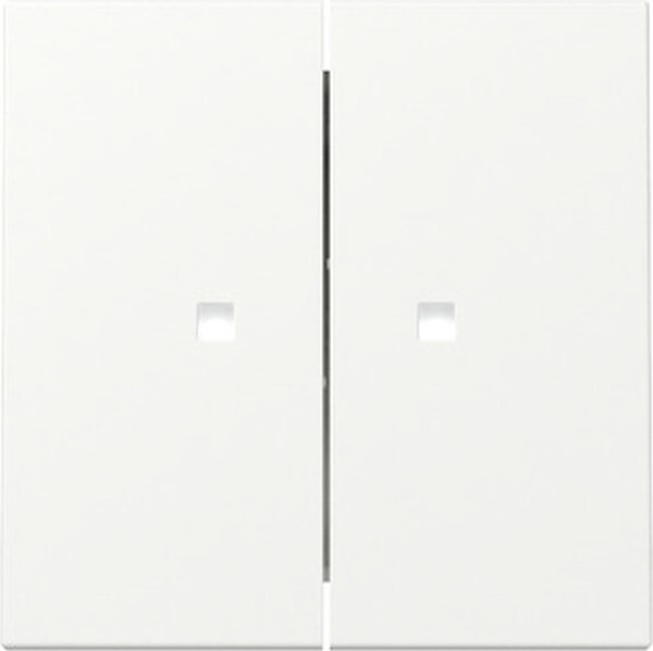 GIRA Wippe 363127 2f Kontrollfenster System 55 Reinwei&szlig; seidenmatt