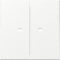 GIRA Wippe 363127 2f Kontrollfenster System 55...