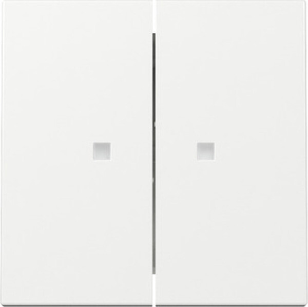 GIRA Wippe 363103 2f Kontrollfenster System 55 Reinwei&szlig; gl&auml;nzend