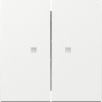 GIRA Wippe 363103 2f Kontrollfenster System 55...