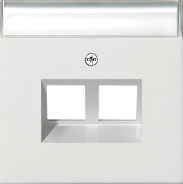 GIRA Abdeckung 2640112 Beschriftungsfeld Mod Jack 30&deg; 2f Fl&auml;che rw