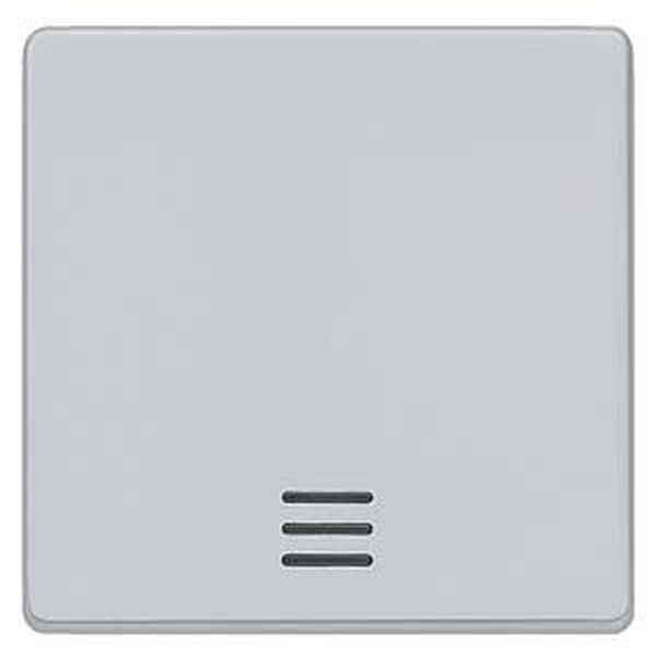 SIEMENS Wippe 5TG6240 alluminium-metallic