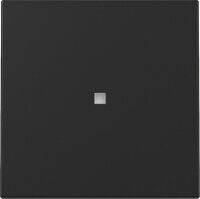 GIRA Wippe 3290005 Kontrollfenster System 55 Schwarz matt...