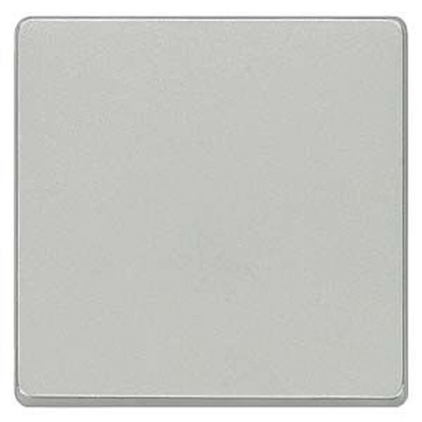SIEMENS Wippe 5TG6241aluminium-metallic