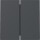GIRA SerienWippe 329528 2f System 55 Anthrazit (neue Generation)