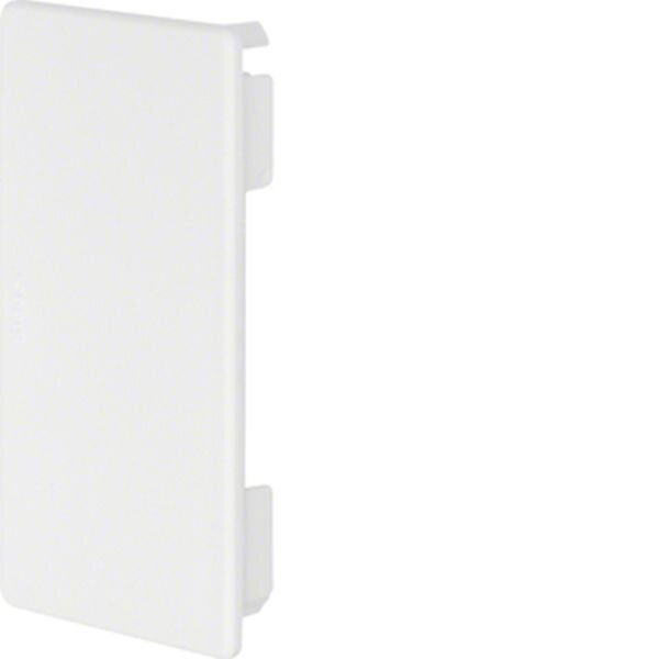 HAGER TEHALIT Endst&uuml;ck FB6011069016 FB 60x110mm verkehrswei&szlig;